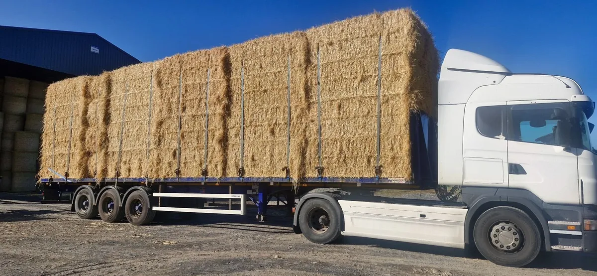 Straw delivered - Image 3