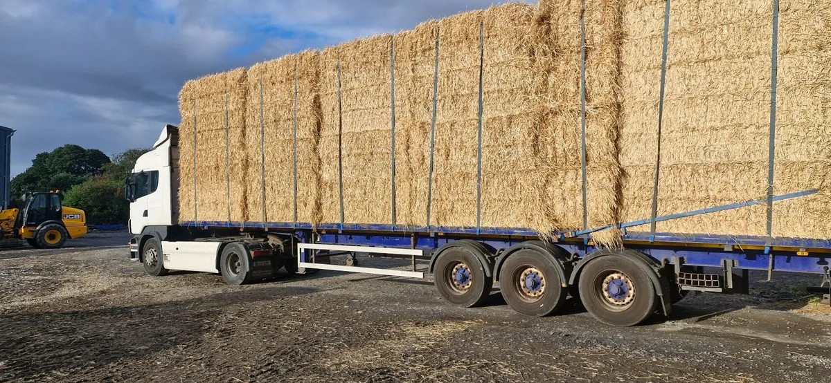 Straw delivered - Image 4