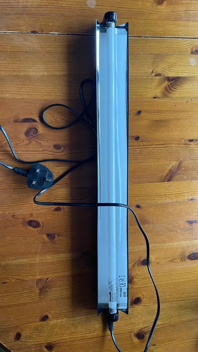 Reptile lamp - Image 4