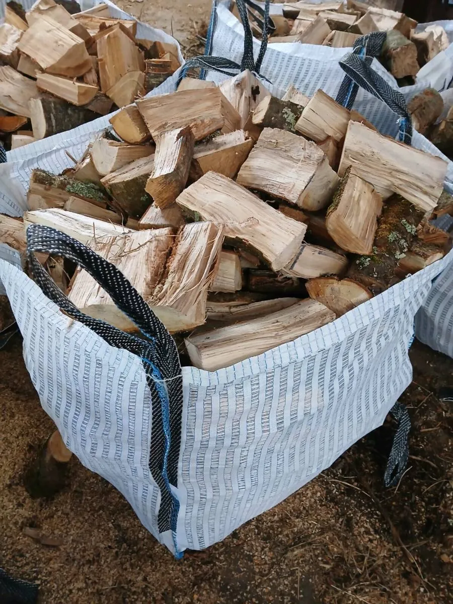 Firewood hardwood well seasoned - Image 3