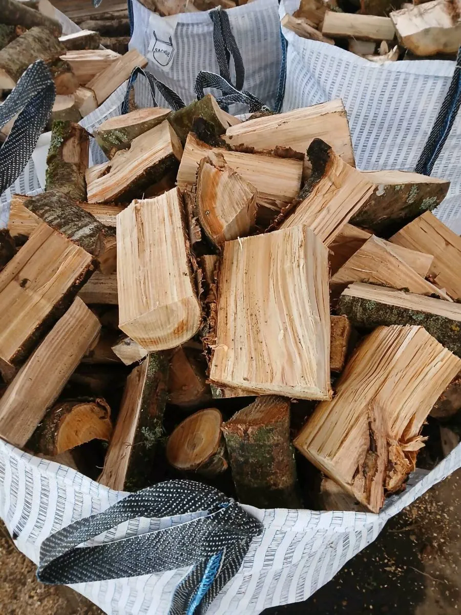Firewood hardwood well seasoned - Image 3