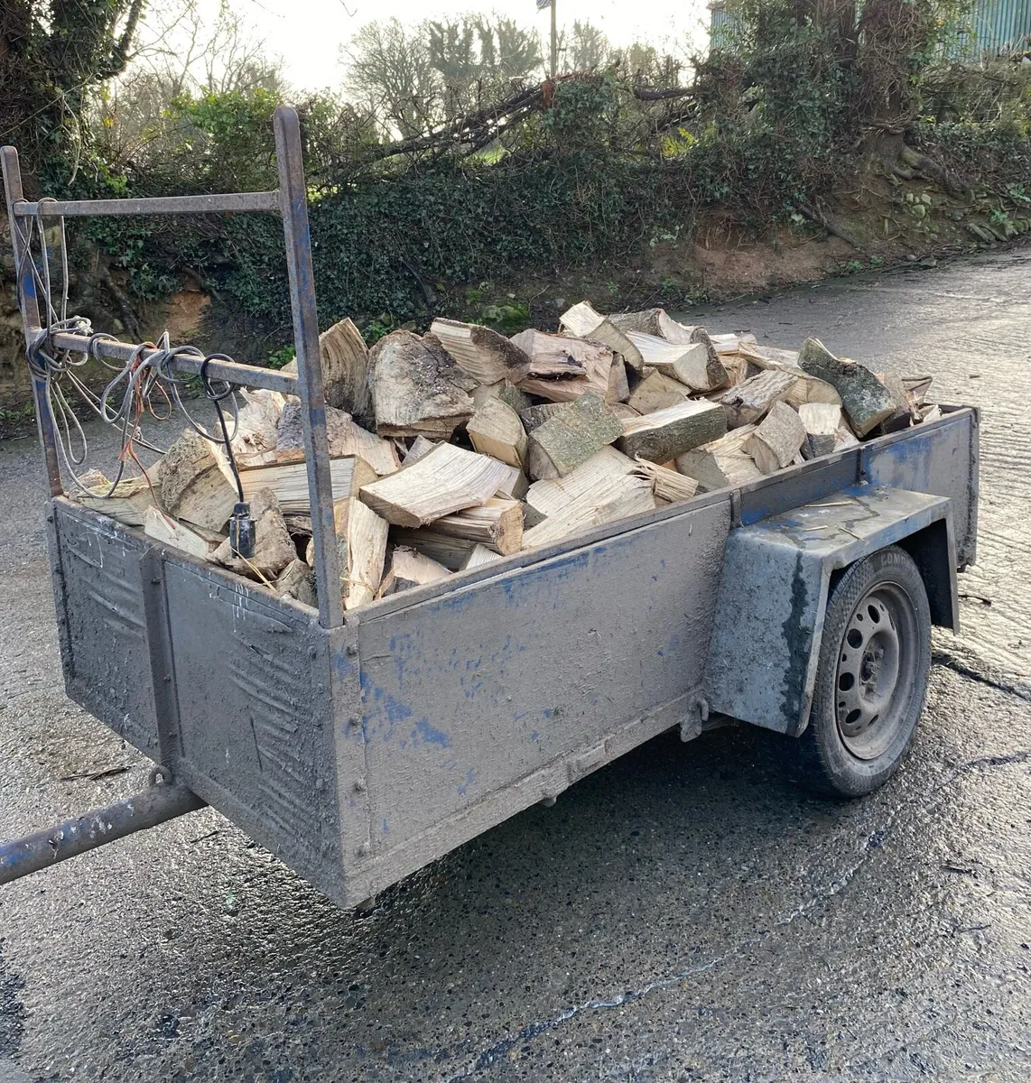 Firewood - Hardwood (Ash)
