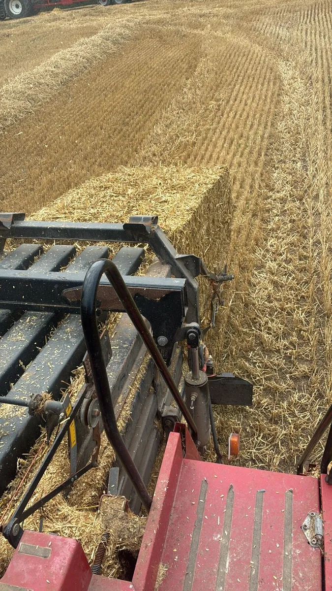 Straw - Image 2