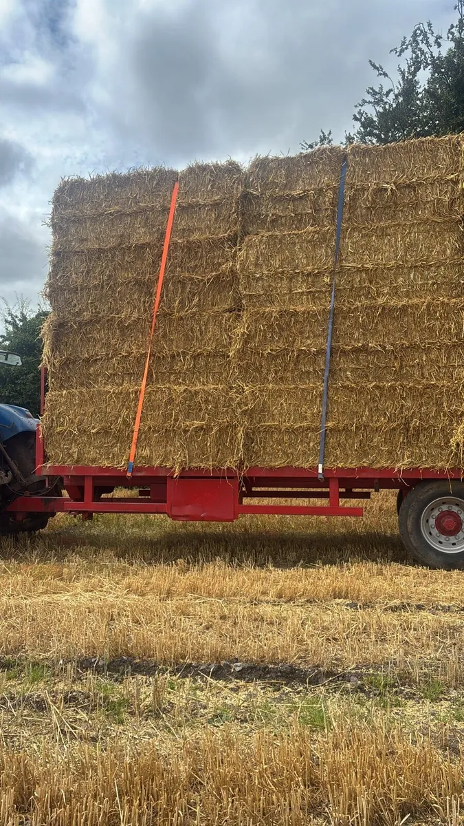 Straw - Image 3