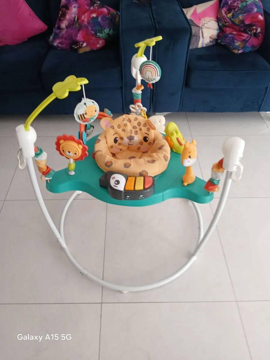 Baby Bouncer