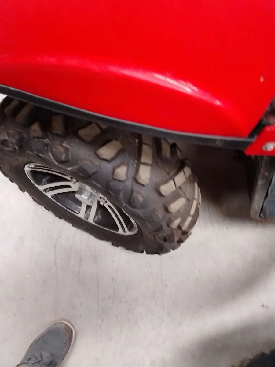 Gator - Image 2