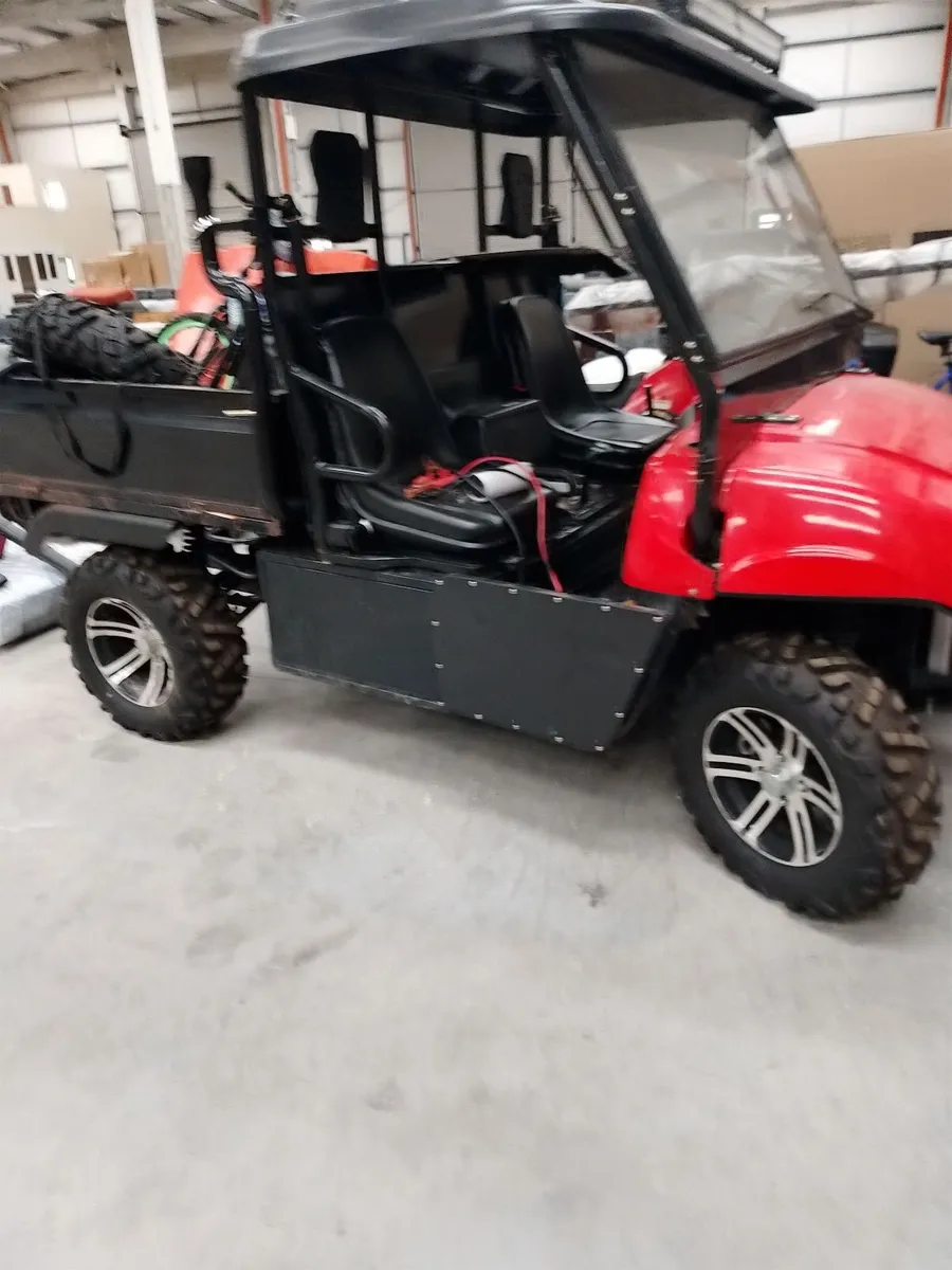 Gator - Image 1