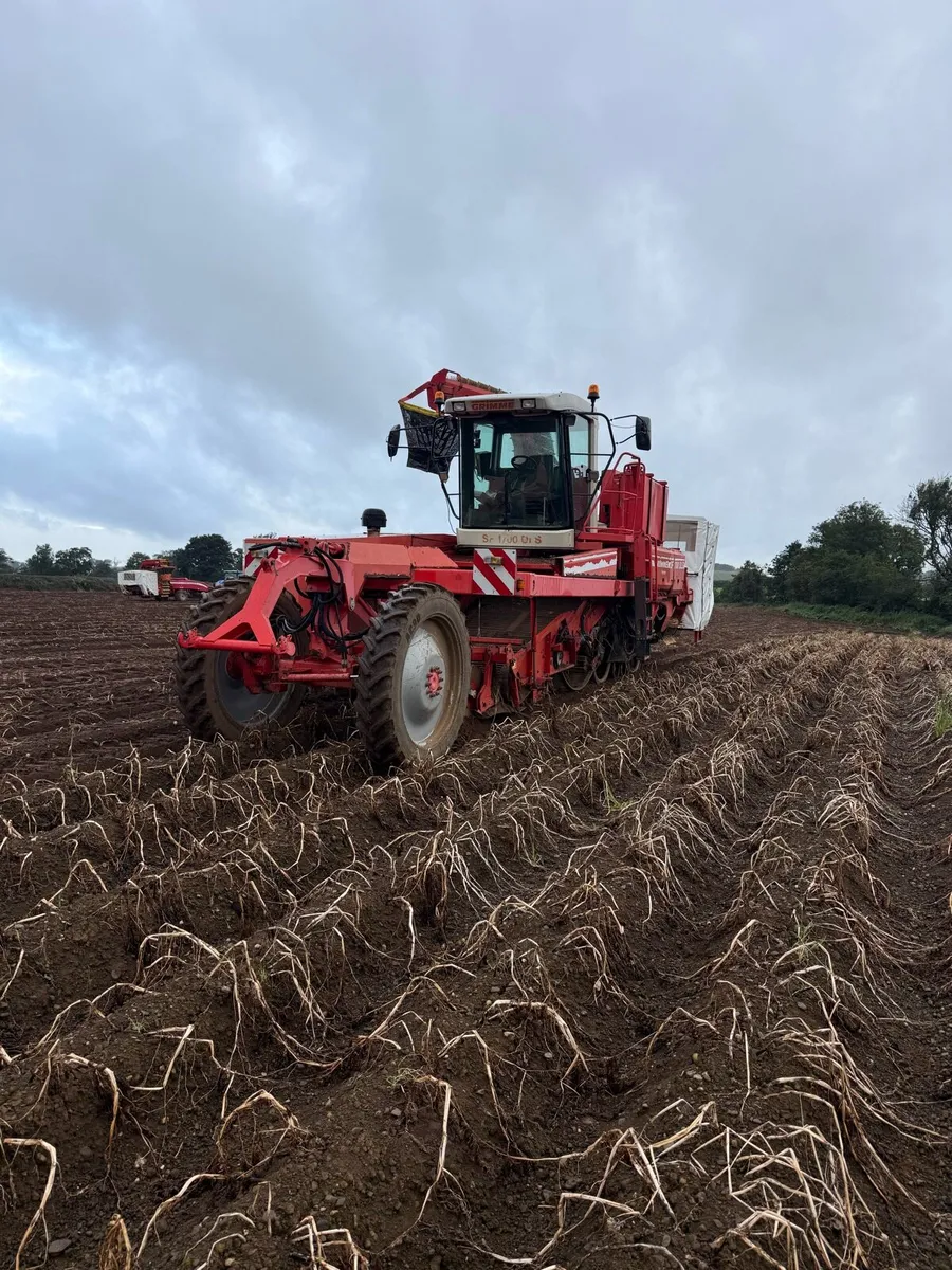 Grimme SF1700 DLS Potato Harvester - Image 1