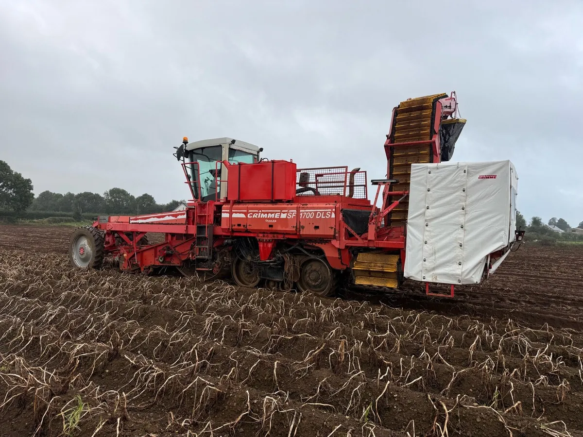 Grimme SF1700 DLS Potato Harvester - Image 2