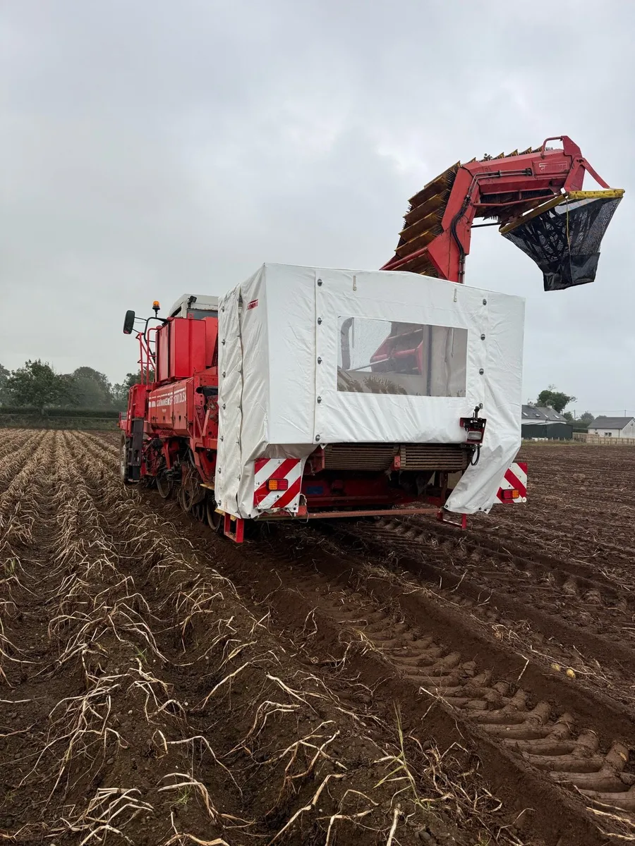 Grimme SF1700 DLS Potato Harvester - Image 3