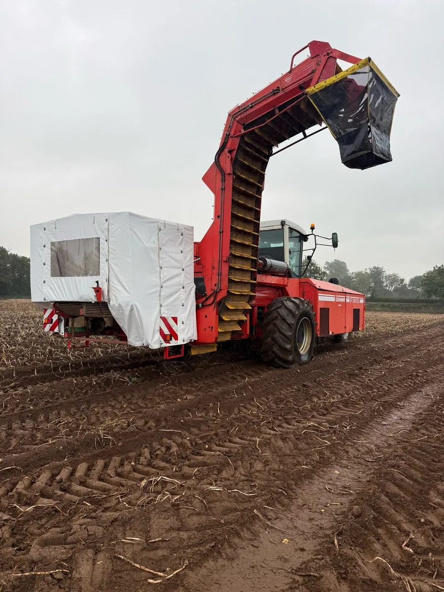 Grimme SF1700 DLS Potato Harvester - Image 4