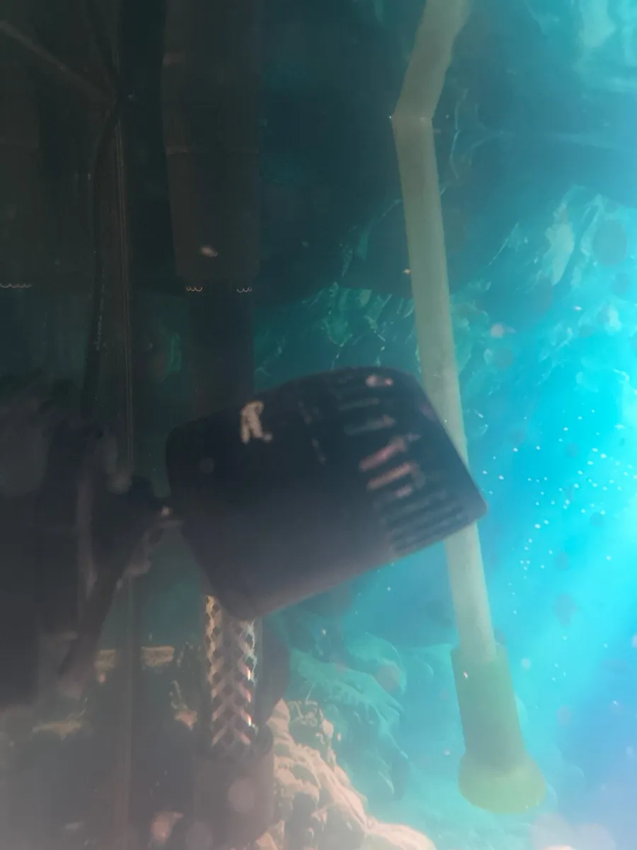 Aquarium 100L - Image 3