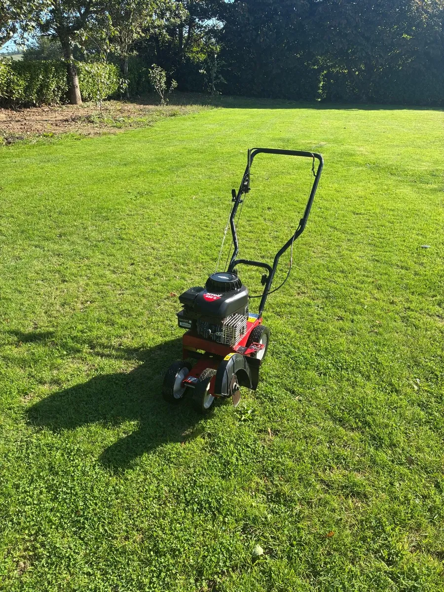 Mtd lawn edger - Image 1