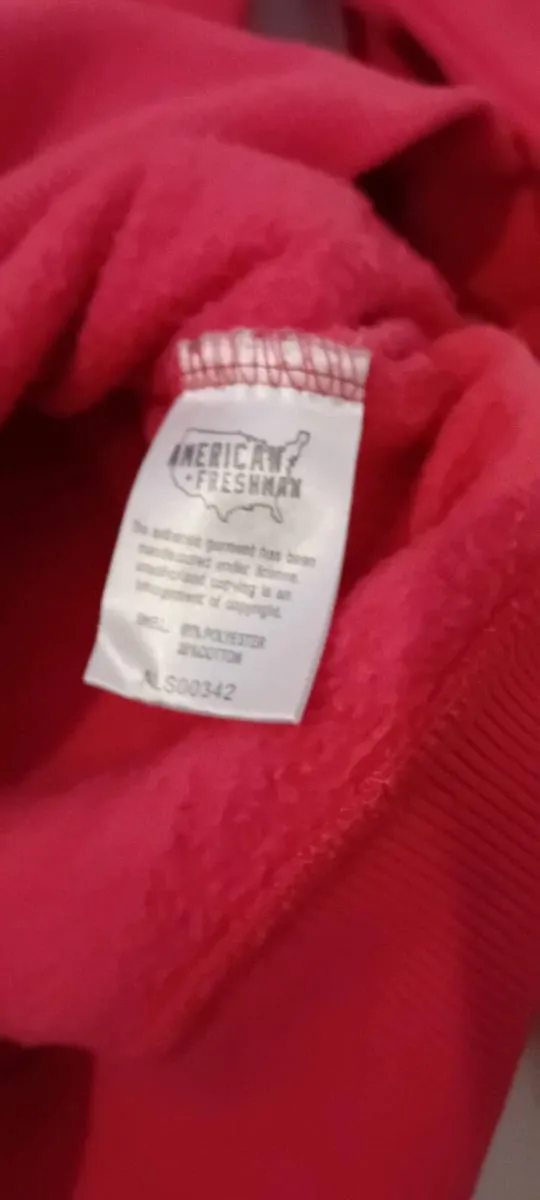 American Freshman Hoodie XS - Image 3