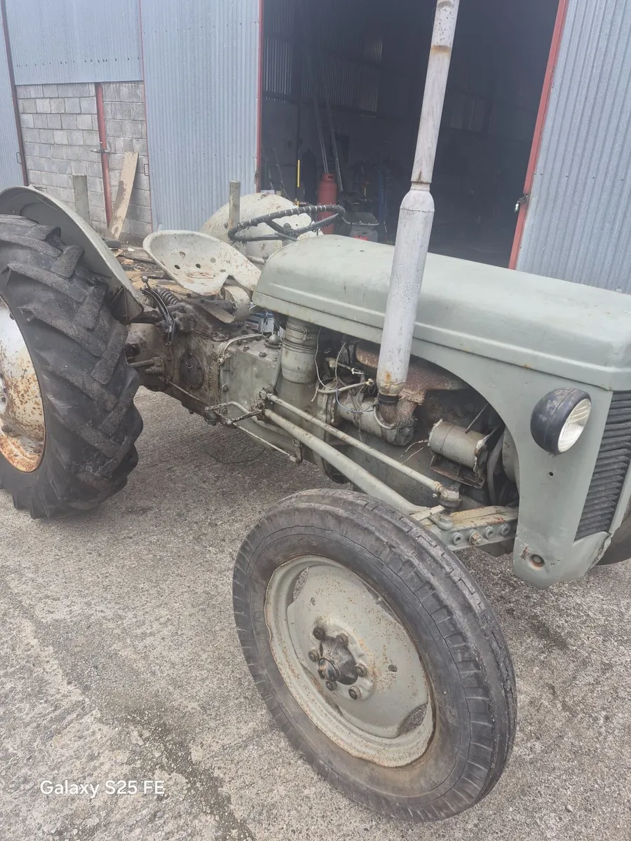 Fergson 20 for sale - Image 4