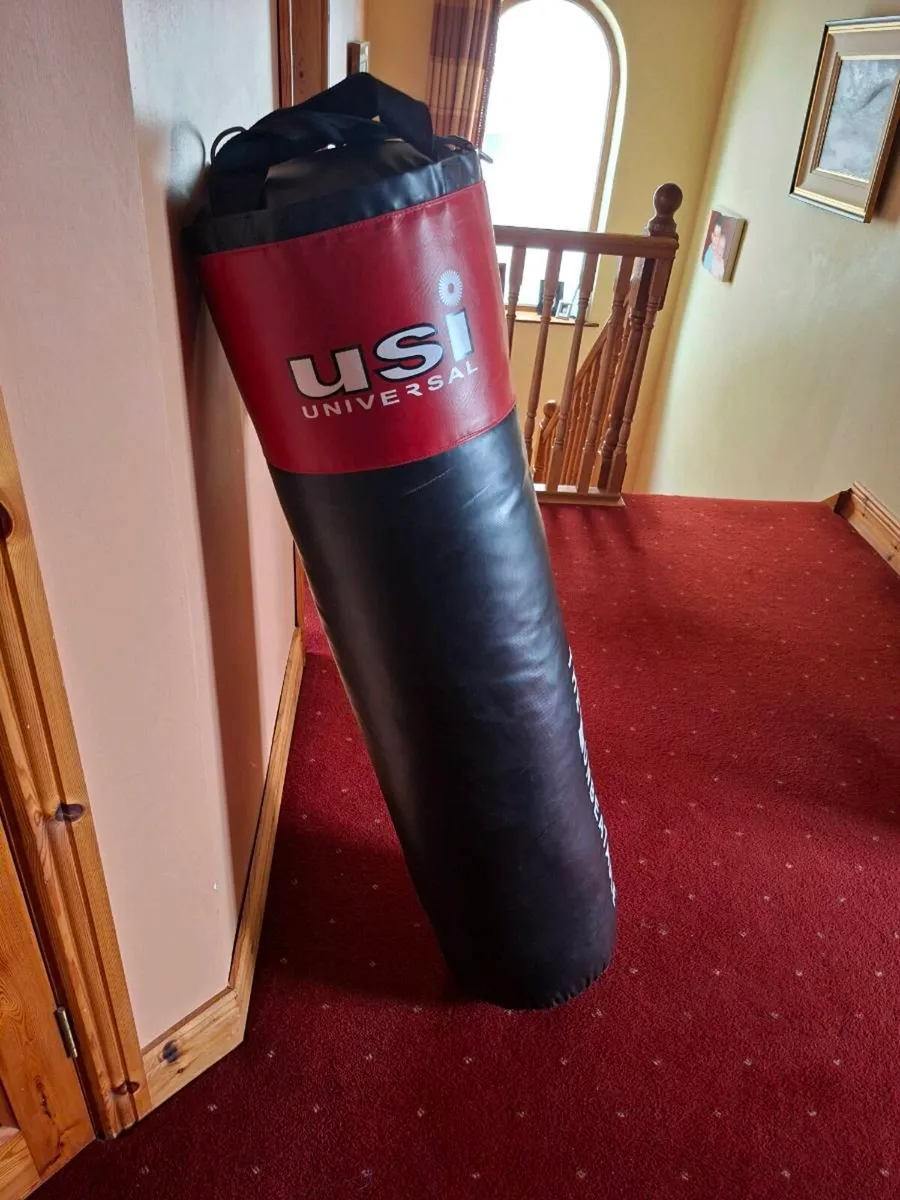 Punch bag - Image 2
