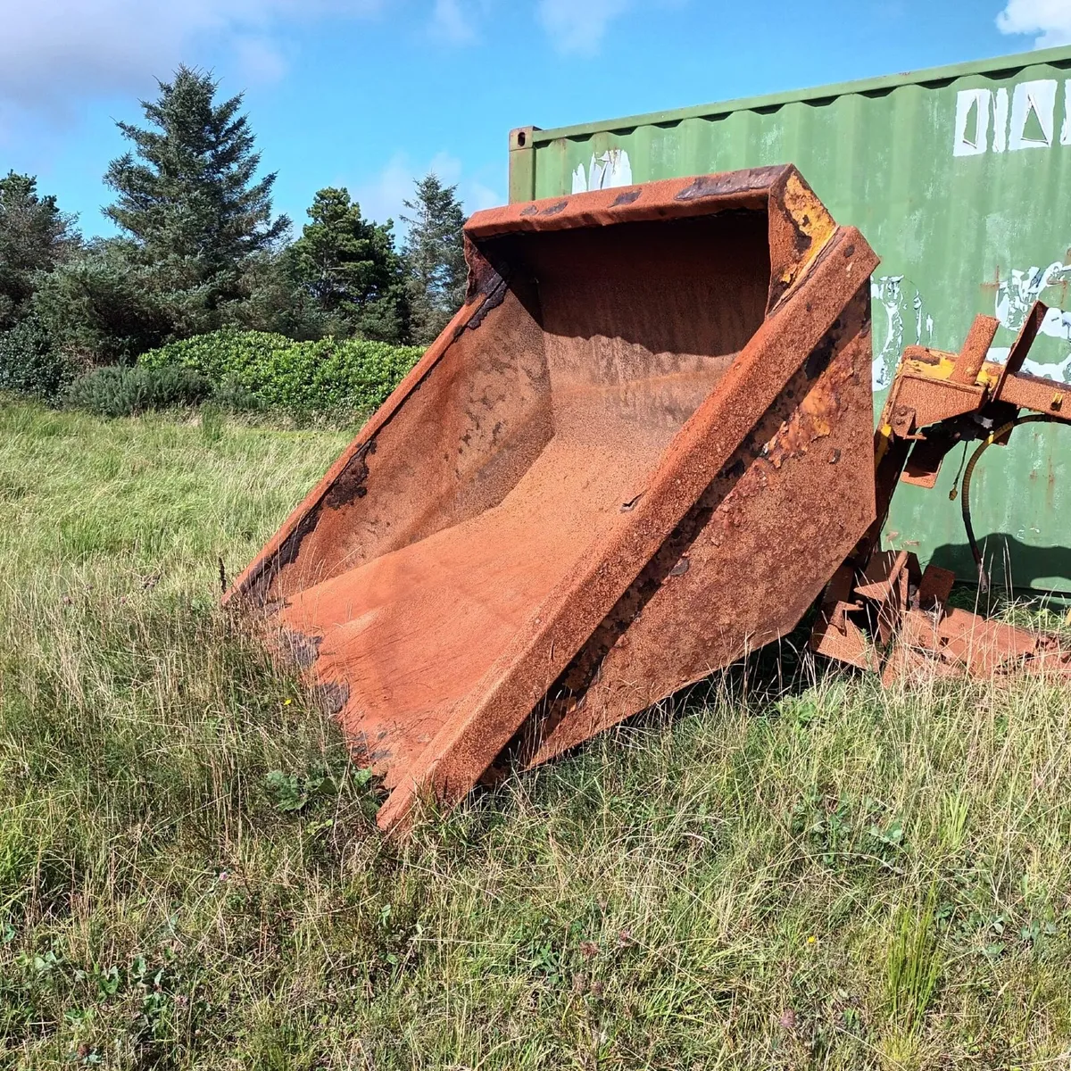Thwaites skip - Image 1