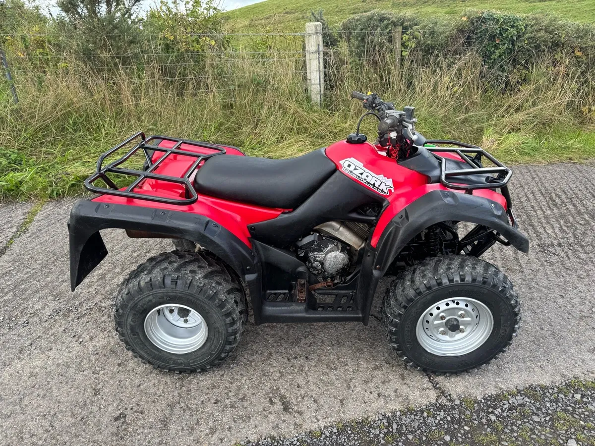 2017 Suzuki ozark 250 - Image 1