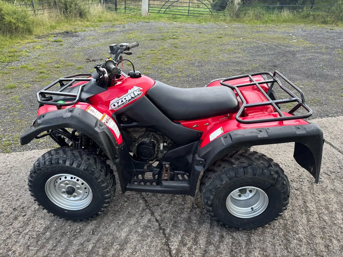 2017 Suzuki ozark 250 - Image 4