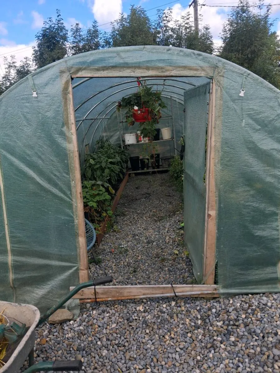 20ftx10ft pollytunnel. - Image 2