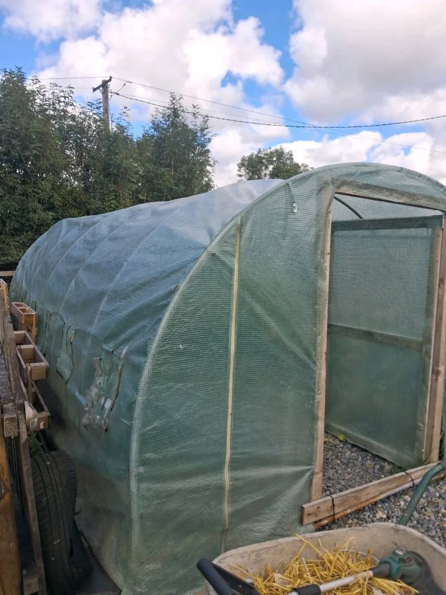 20ftx10ft pollytunnel. - Image 3