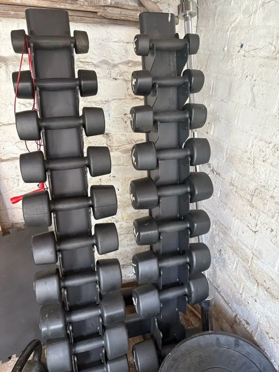 dumbell rack of 1kgs-10kgs - Image 2