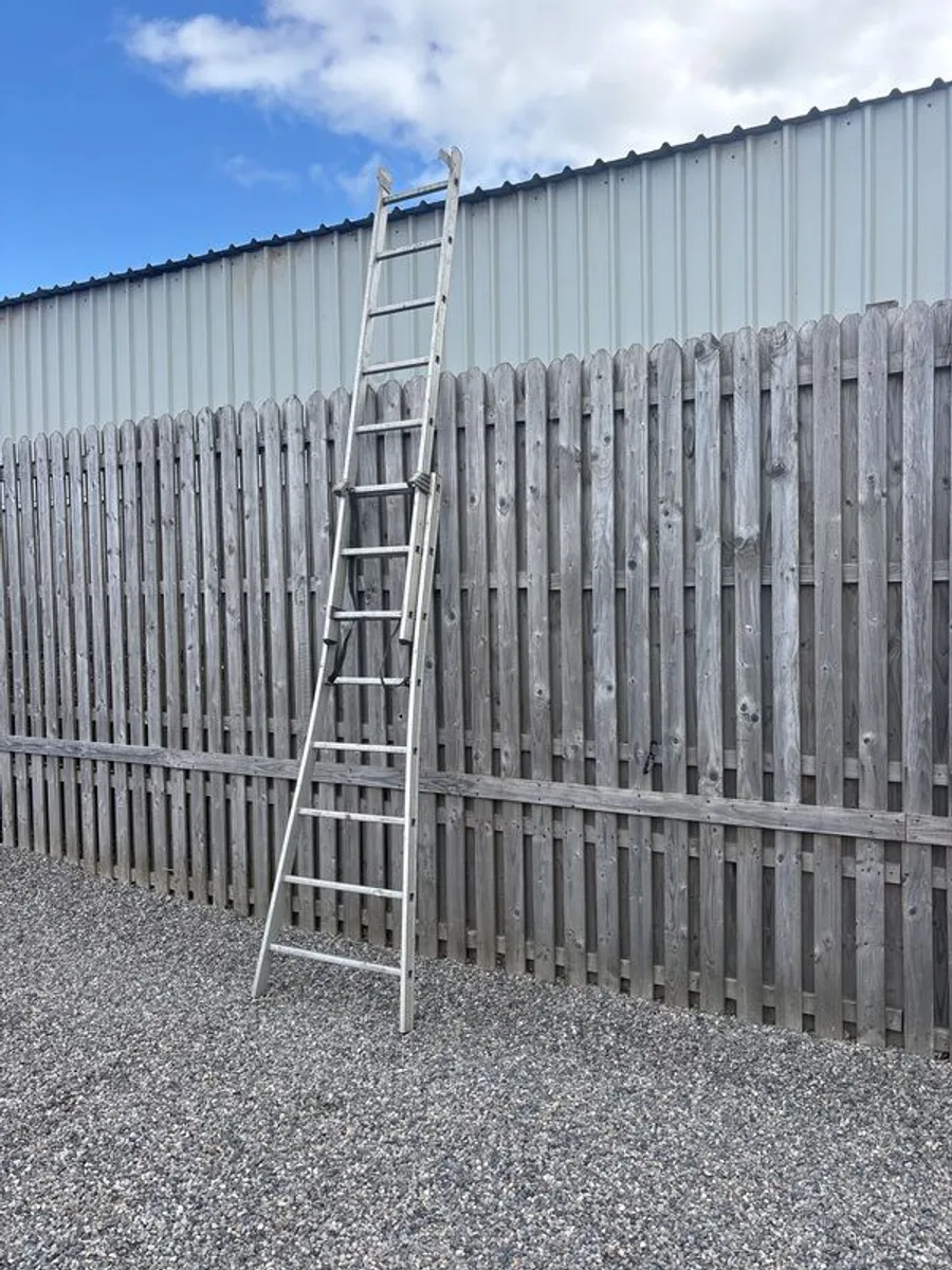 ladder - Image 2
