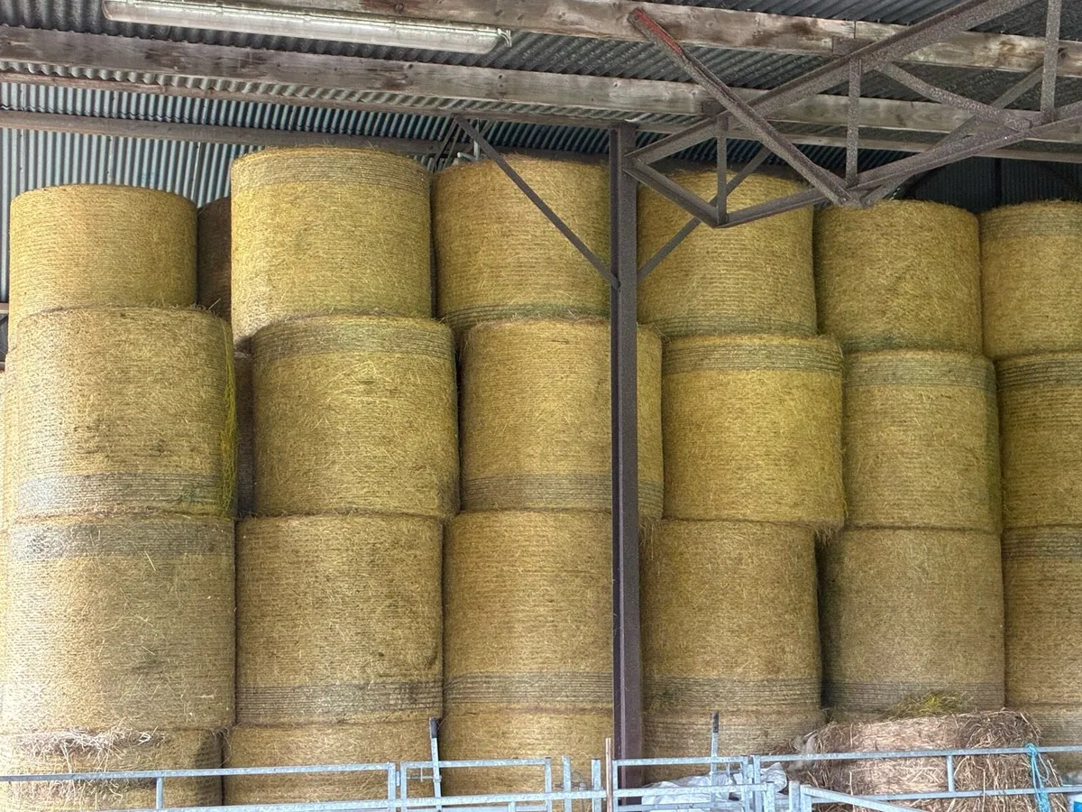Organic hay, haylage , silage - Image 3