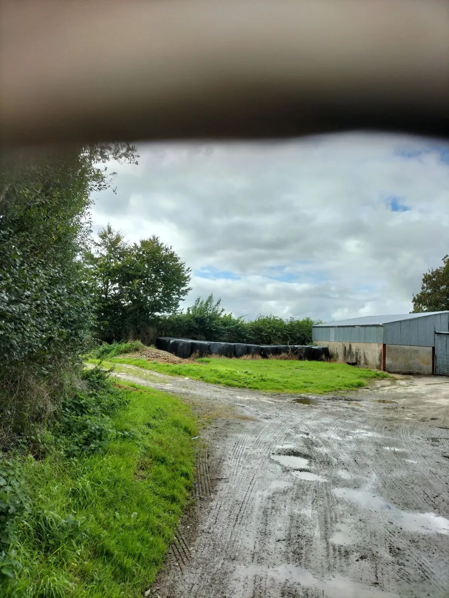 Big bale silage - Image 1
