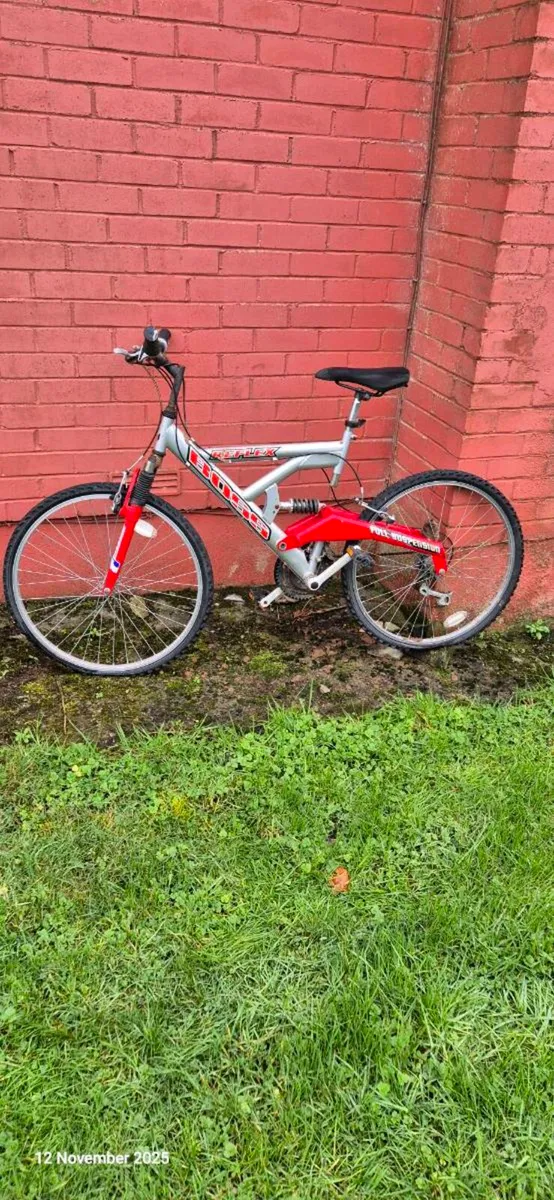 Bicycles - Image 1