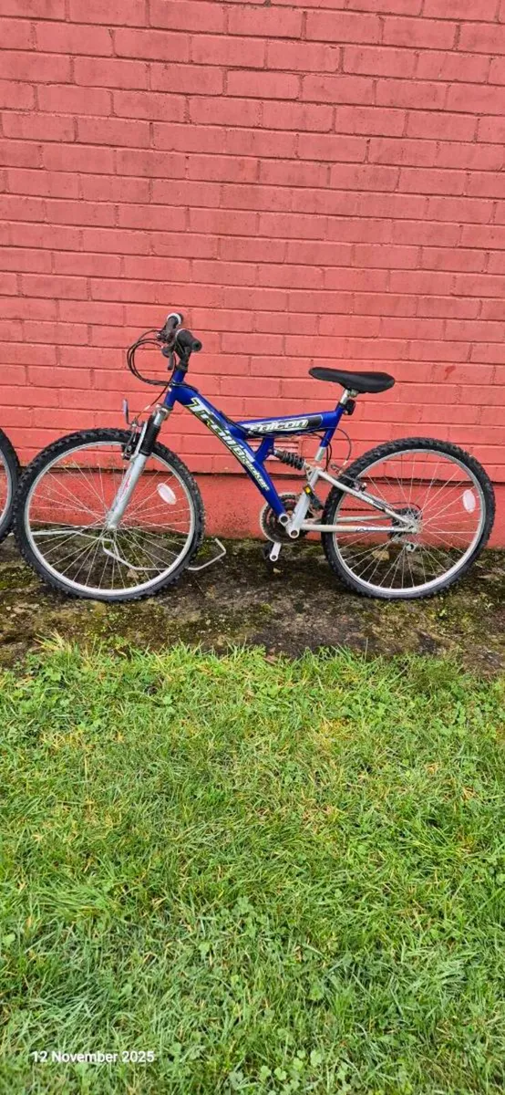Bicycles - Image 2