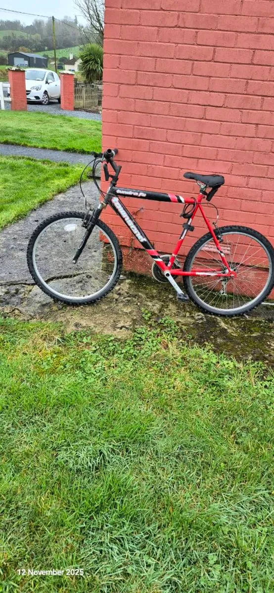 Bicycles - Image 3