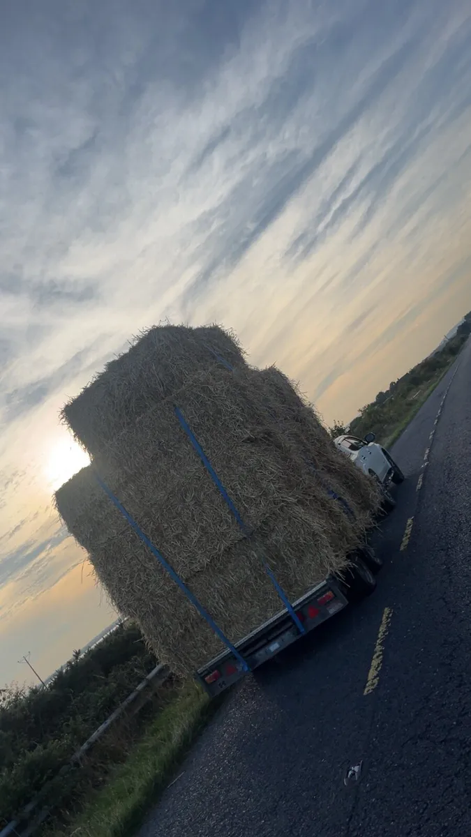 Wheaten straw 8x4x3 - Image 1