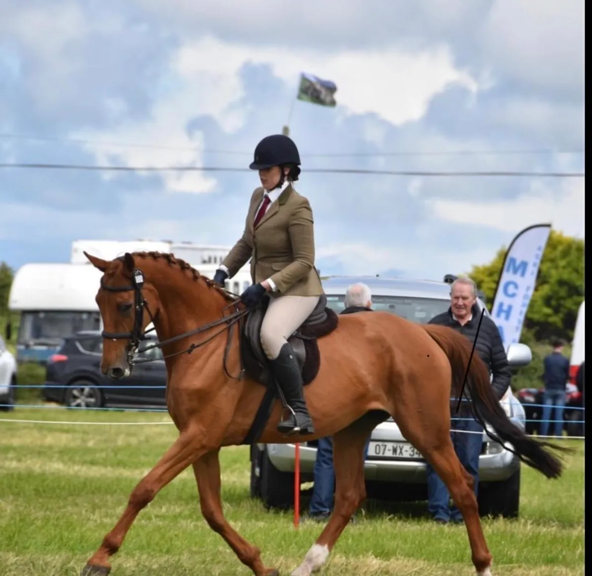 16 3 mare - Image 1