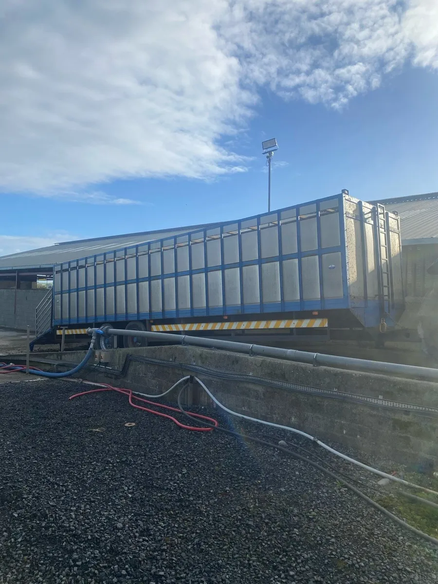 Cattle trailer - Image 4