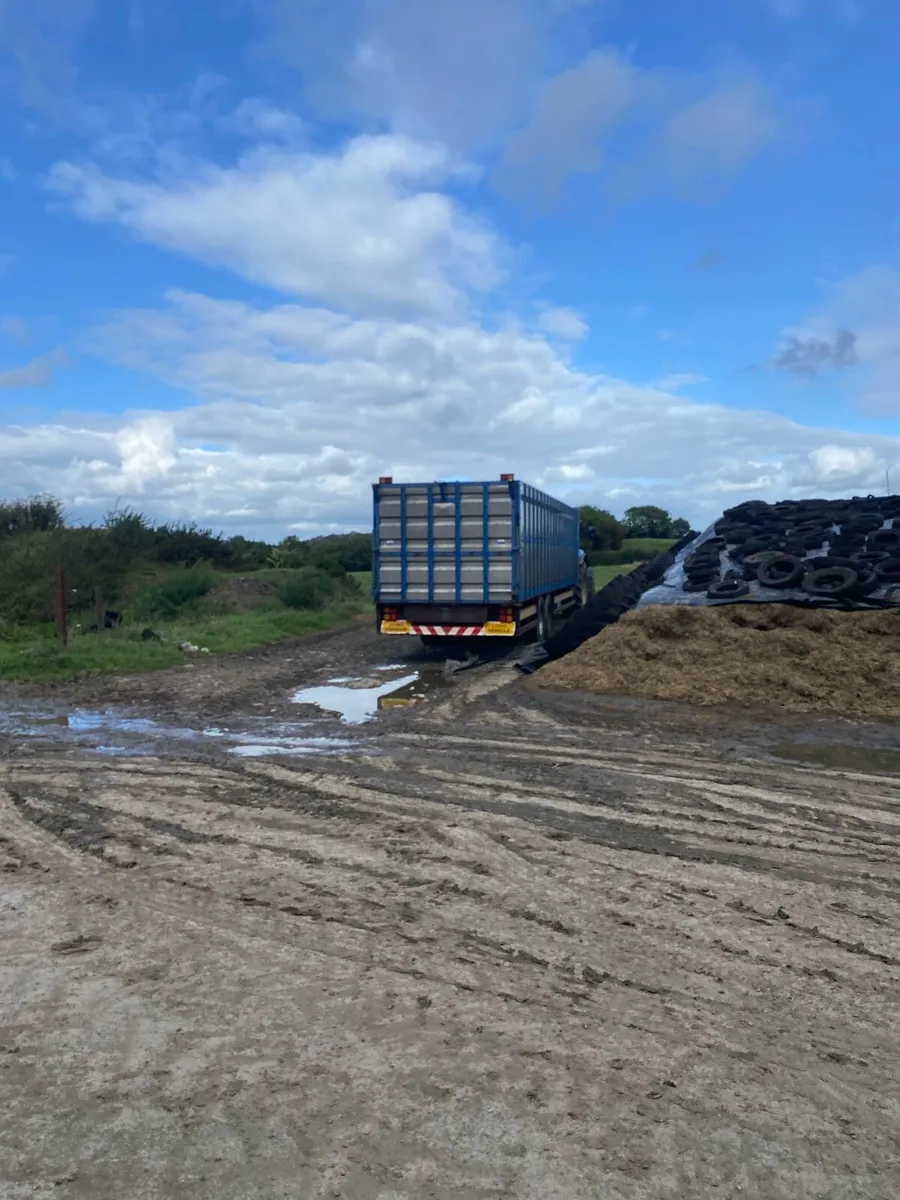 Cattle trailer - Image 2