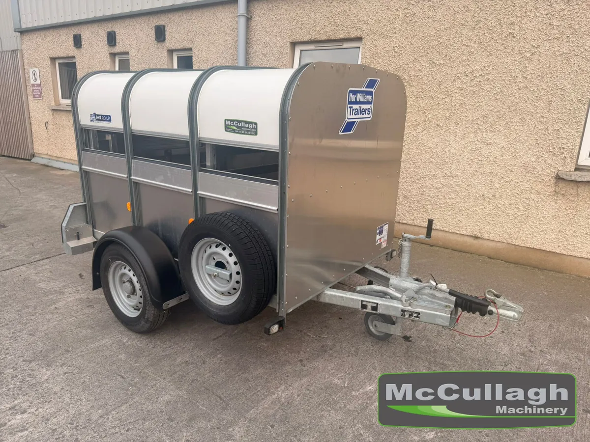 New Ifor Williams P6G Sheep Trailer - Image 1