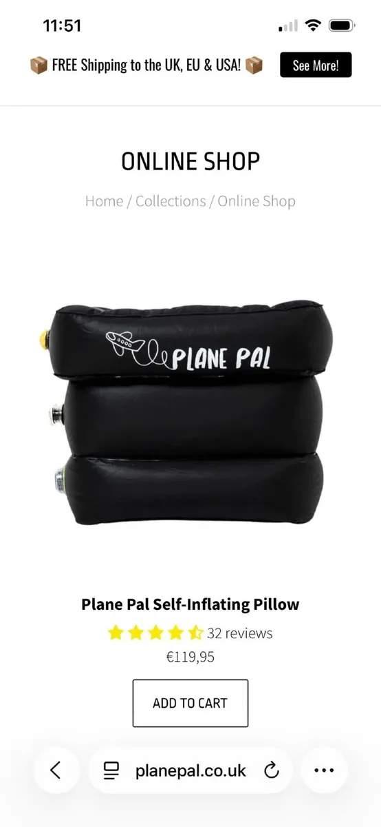Travel pillows