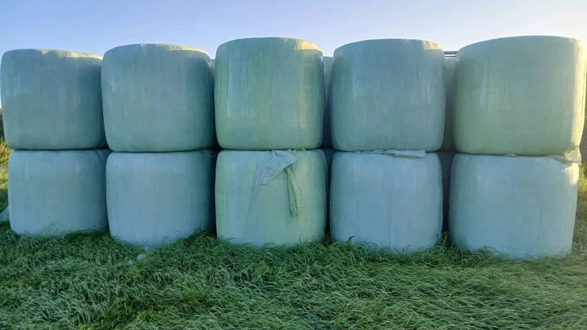 Haylage