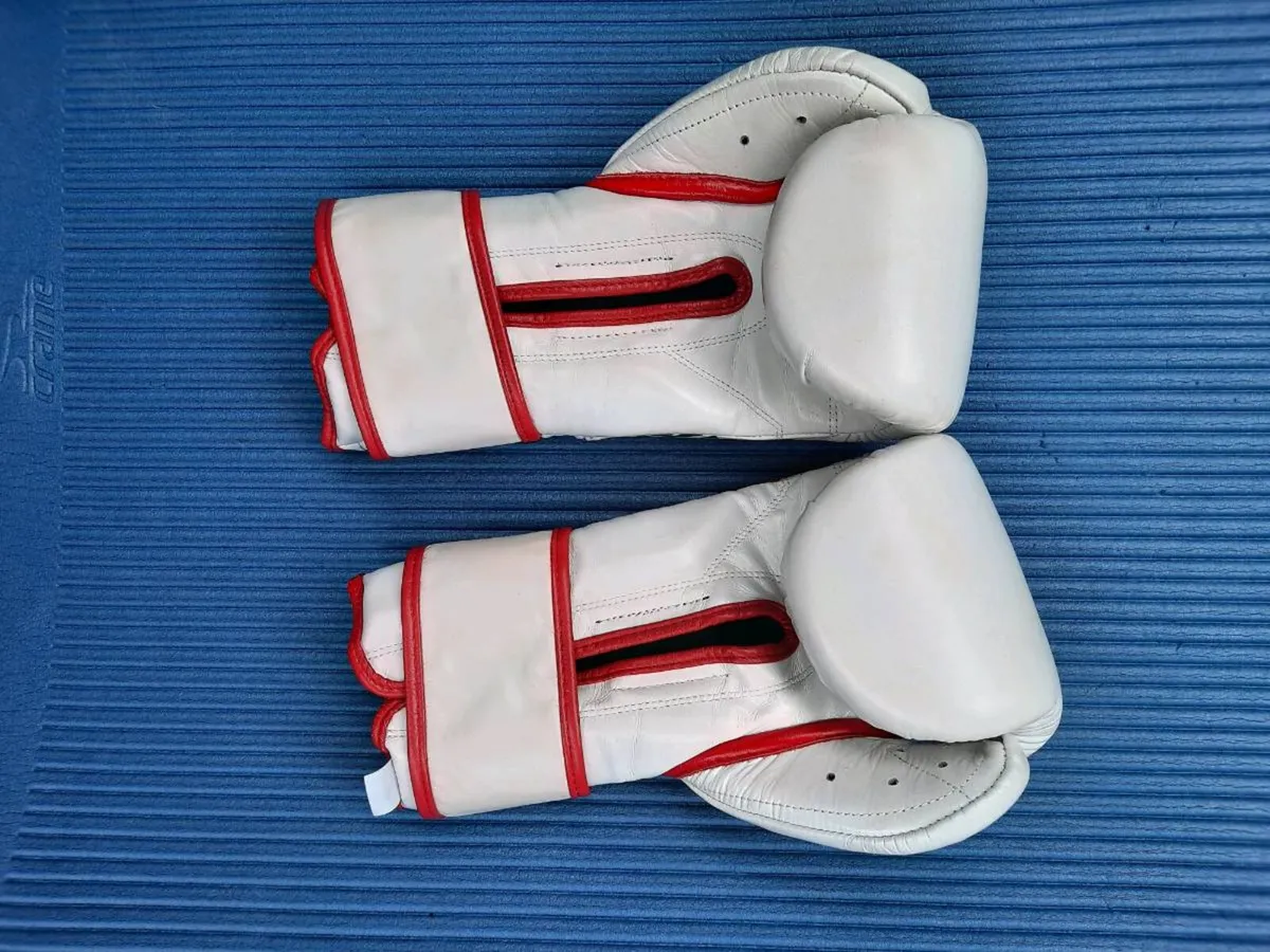 Reyes Boxing Gloves 14oz - Image 2