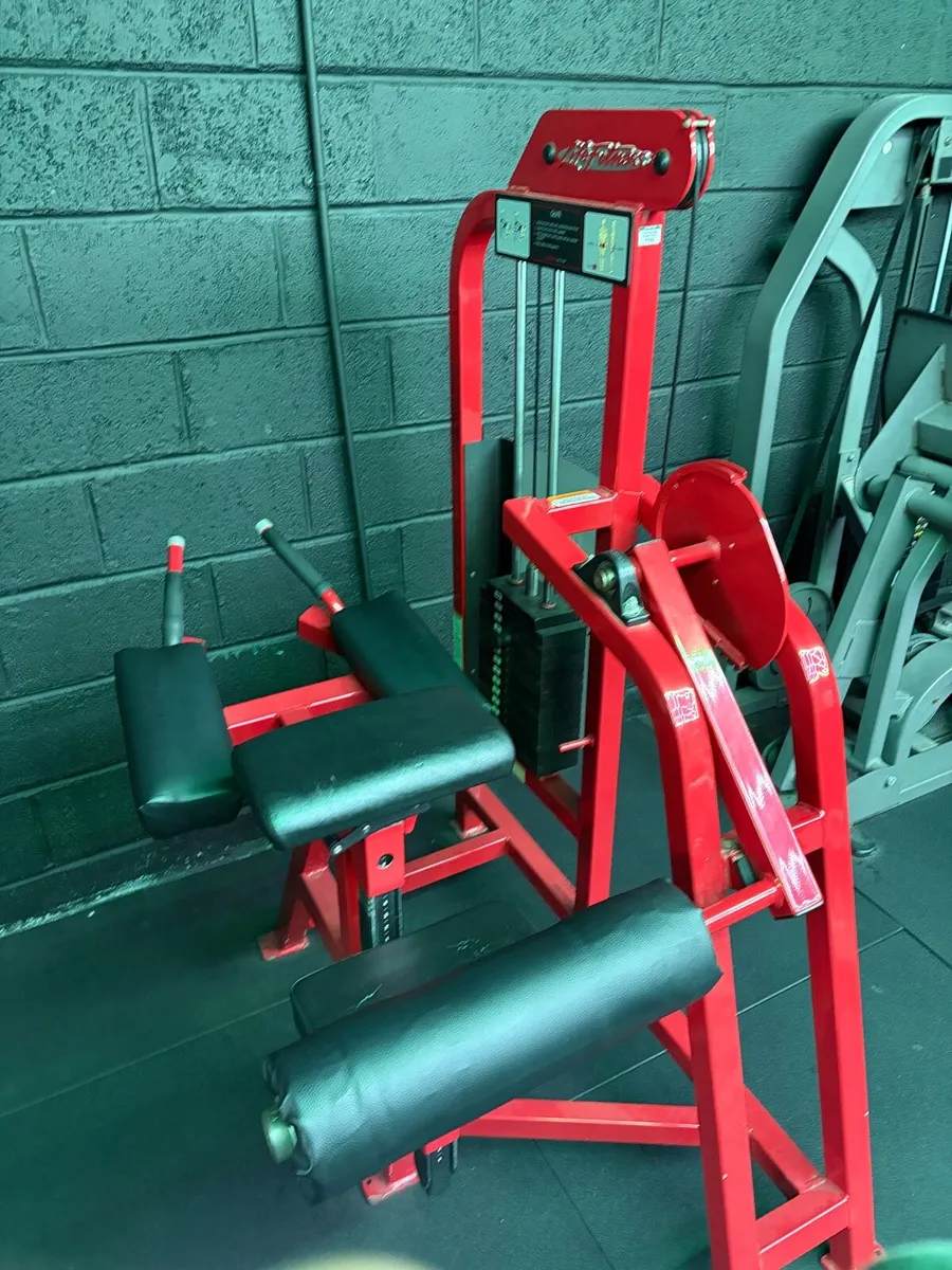 Life fitness pro 1 glute kickback - Image 1