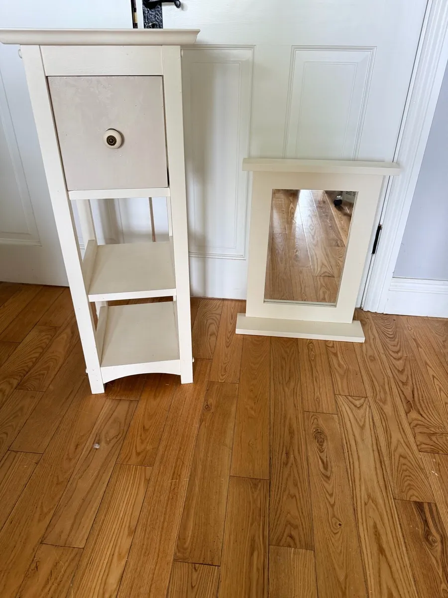 Storage cabinet and mirror