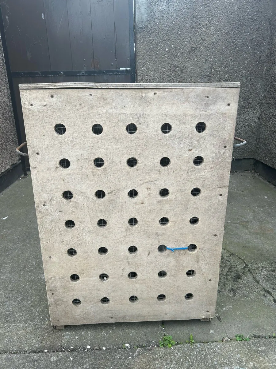 Pet transport box - Image 3