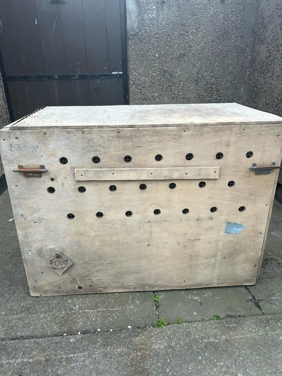 Pet transport box - Image 4