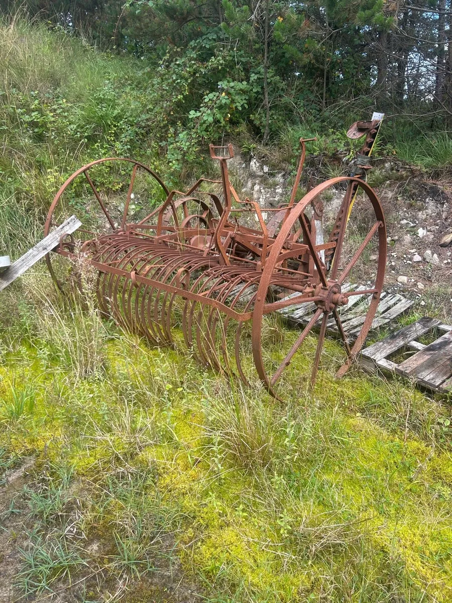 Horse drawn hay more and hay rack - Image 1