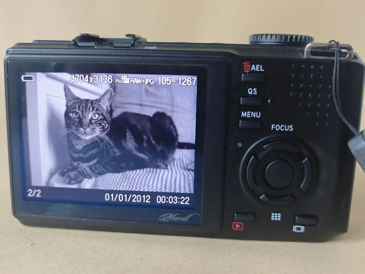 Sigma DP2 Merrill - Image 2