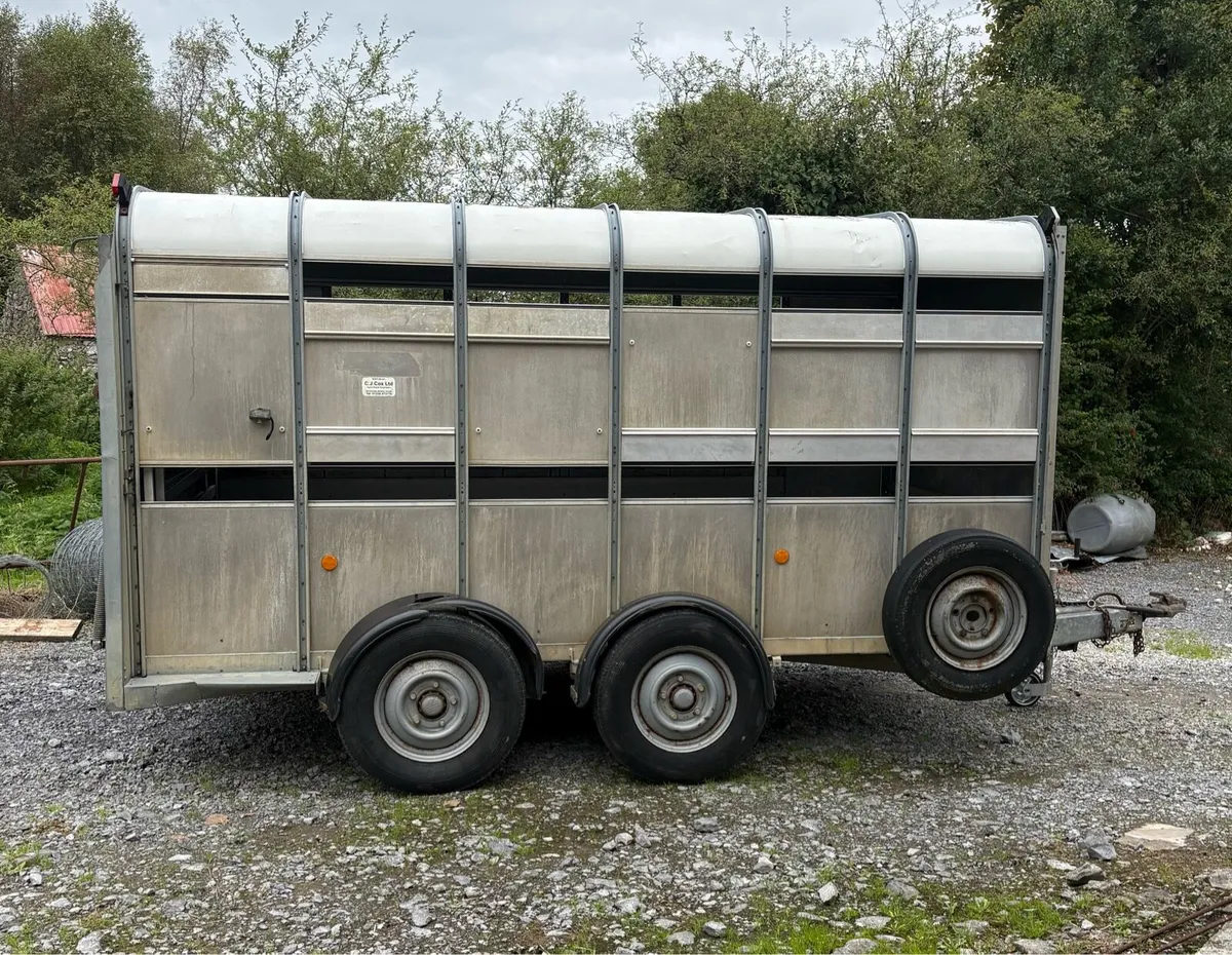 Ifor Williams Trailer - Image 1