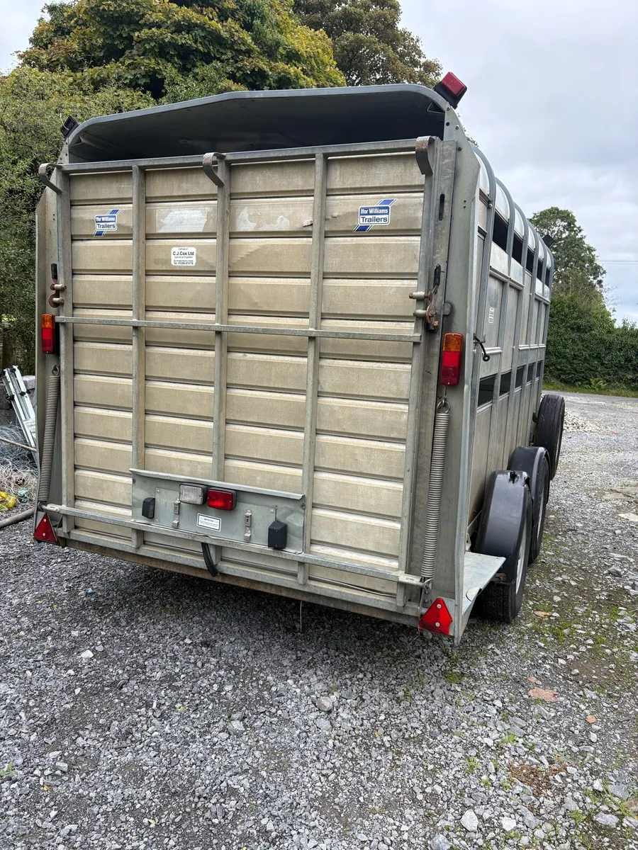 Ifor Williams Trailer - Image 3