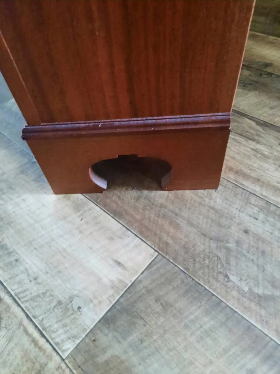 Book Case - Image 3