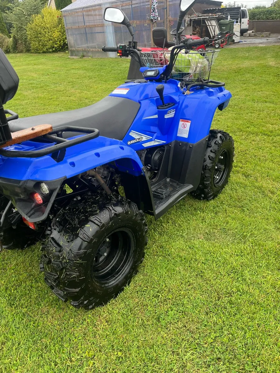 QuadzillA - Image 2